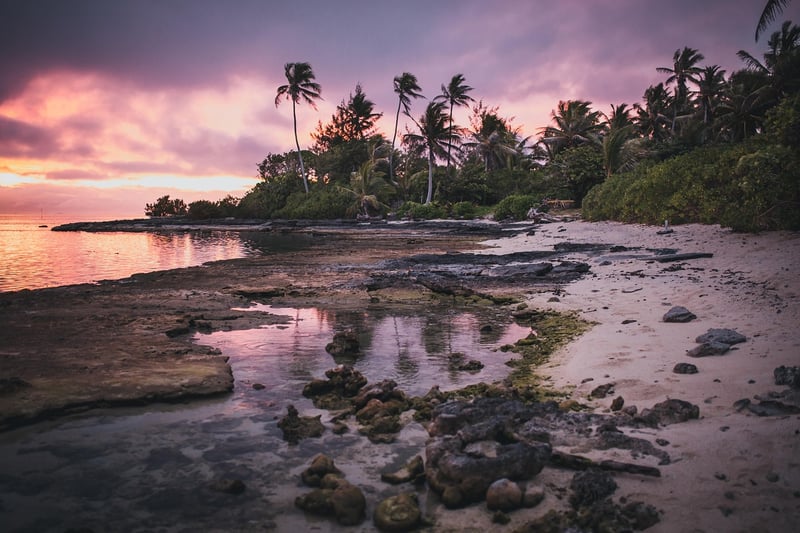 Natural Paradises